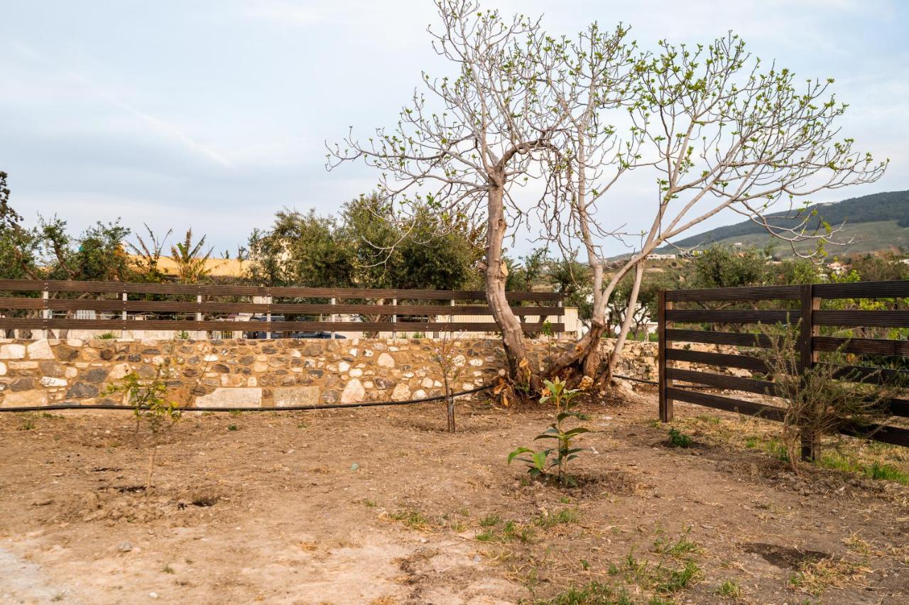 Paradisi Stone House คอสทาวน์ ภายนอก รูปภาพ
