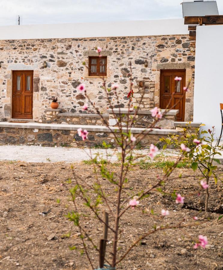 Paradisi Stone House คอสทาวน์ ภายนอก รูปภาพ
