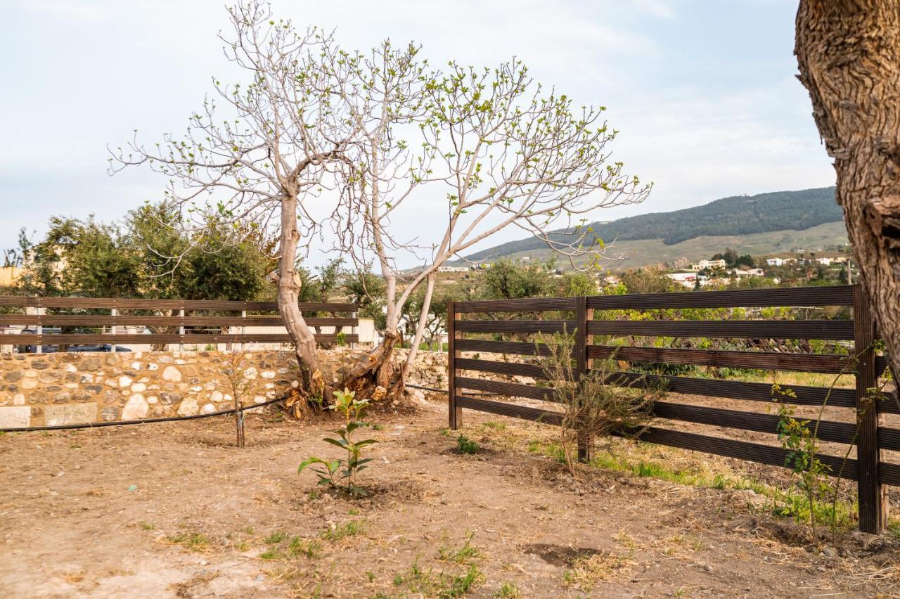 Paradisi Stone House คอสทาวน์ ภายนอก รูปภาพ